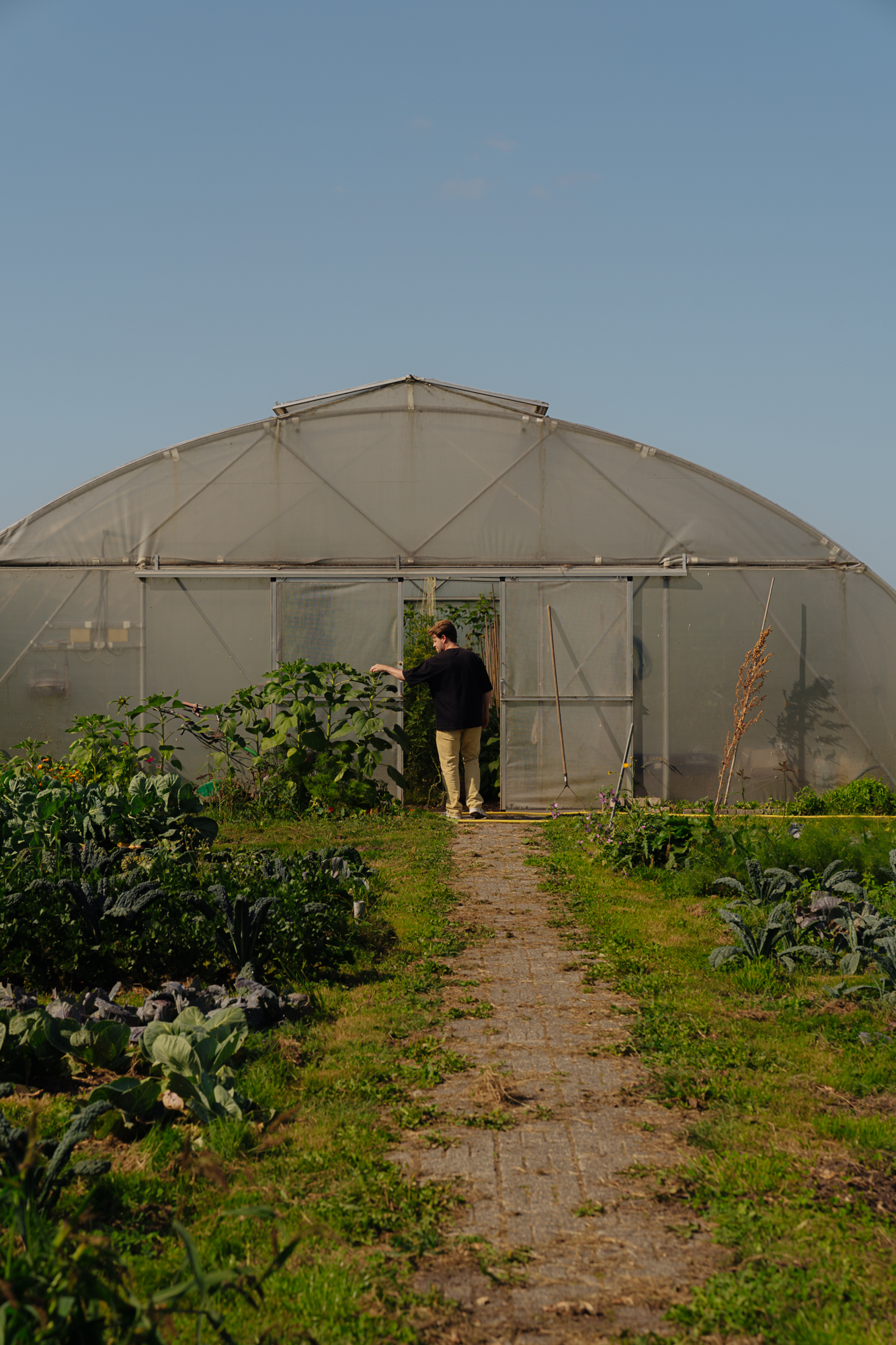 Restaurant Flore in Amsterdam – conscious fine dining with seasonal and sustainable ingredients.